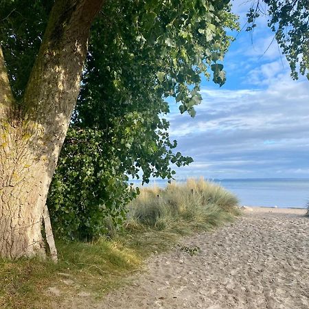 Feriendorf Suedstrand Haus 49 Pelzerhaken Bagian luar foto