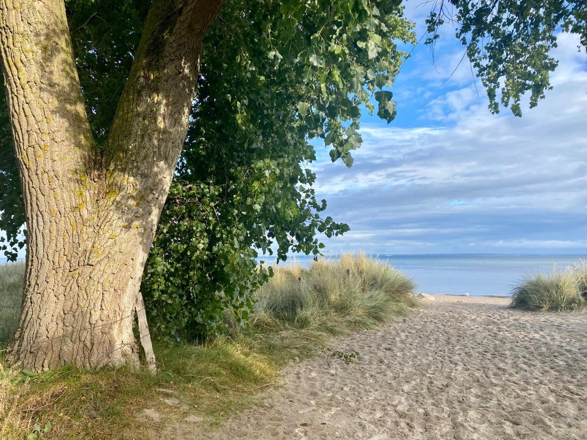 Feriendorf Suedstrand Haus 49 Pelzerhaken Bagian luar foto